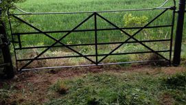 field gate
